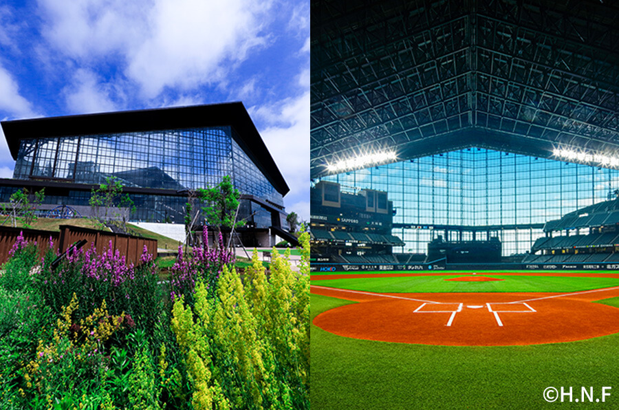 北海道日本ハムファイターズ