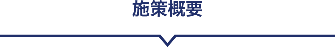 施策概要