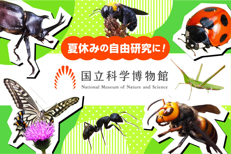 国立科学博物館（筑波研究施設）
